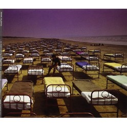 A Momentary Lapse Of Reason