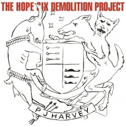 The Hope Six Demolition Project