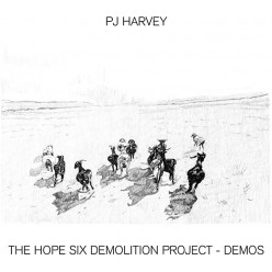 The Hope Six Demolition Project - Demos