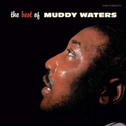 The Best of Muddy Waters [Brown vinyl]