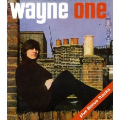 Wayne One