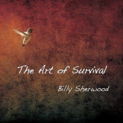 Art Of Survival