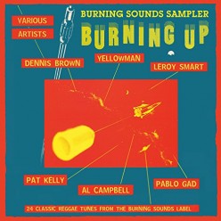 Burning Up - A Burning Sounds Sampler