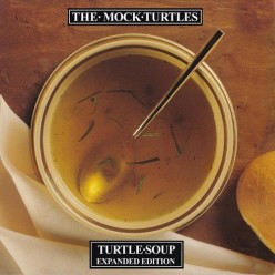 Turtle Soup