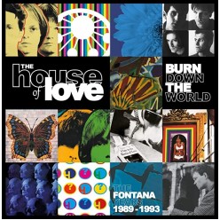 Burn Down The World - The Fontana Years 1989-1993