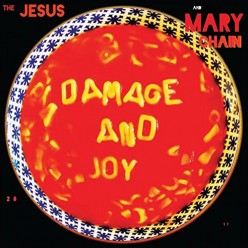 Damage And Joy