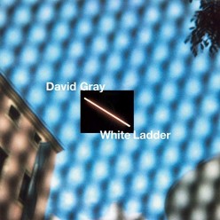 White Ladder