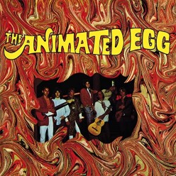 The Animated Egg