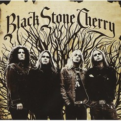 Black Stone Cherry